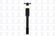 Suspension Strut and Coil Spring Assembly FCS Automotive 1332310