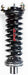 Suspension Strut and Coil Spring Assembly FCS Automotive 2336329R