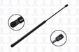 Liftgate Lift Support FCS Automotive 84351