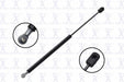 Back Glass Lift Support FCS Automotive 84676