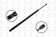 Liftgate Lift Support FCS Automotive 84855