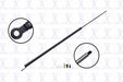 Liftgate Lift Support FCS Automotive 86229