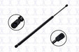 Liftgate Lift Support FCS Automotive 86681