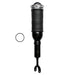 Air Suspension Strut FCS Automotive 99001