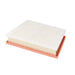 Engine Air Filter PurolatorONE A21418