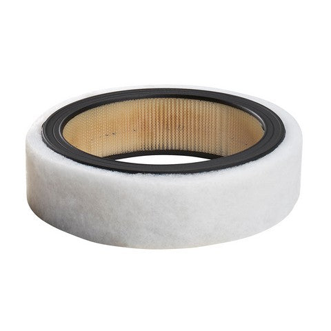 Engine Air Filter PurolatorONE A63180
