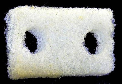 Engine Crankcase Breather Element Purolator B15223