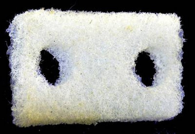 Engine Crankcase Breather Element Purolator B15223