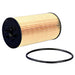 Engine Oil Filter Purolator L45579
