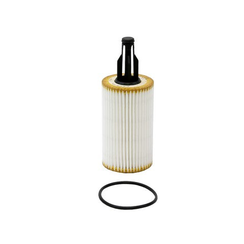 Engine Oil Filter PurolatorBOSS PBL38165