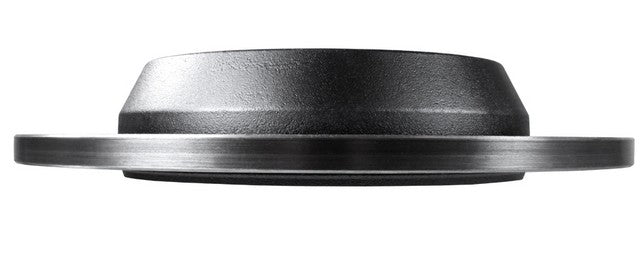 Disc Brake Rotor AmeriBRAKES PR13710