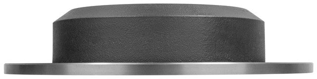 Disc Brake Rotor AmeriBRAKES PR83230